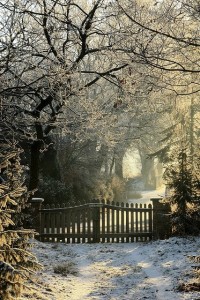 snow gates
